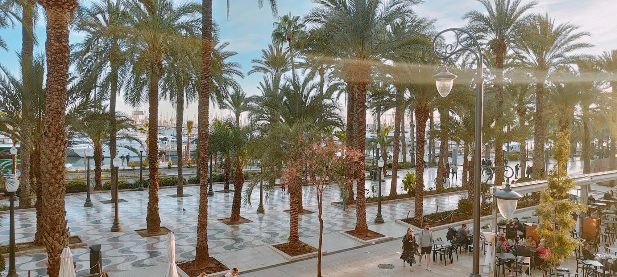 Alicantissima Marina & Beach Alicante Ngoại thất bức ảnh