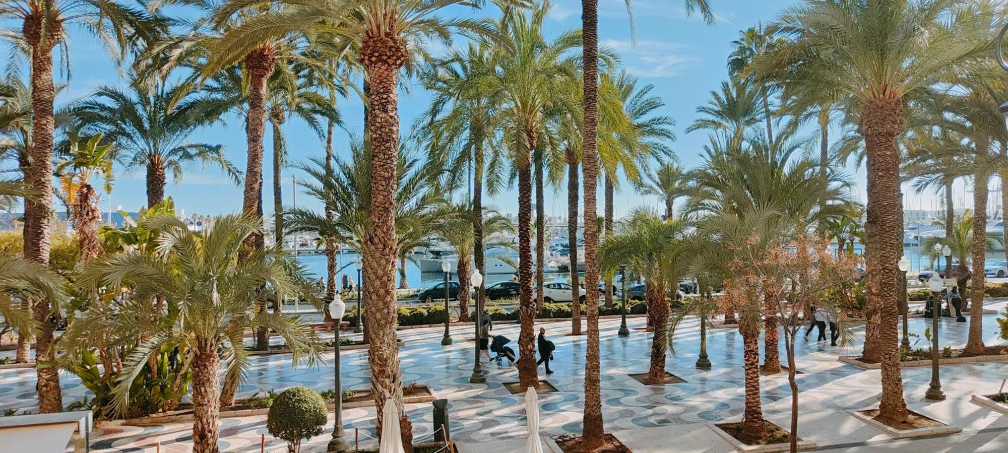 Alicantissima Marina & Beach Alicante Ngoại thất bức ảnh